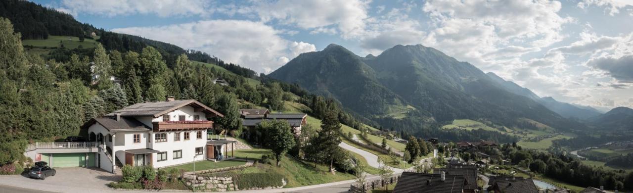 Appartement Alpenrot ザンクト・ヨーハン・イム・ポンガウ エクステリア 写真